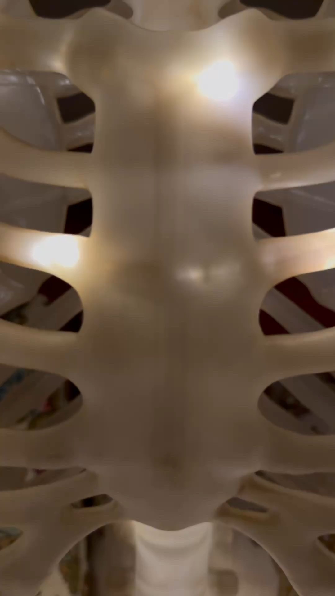 The best under $40 pottery barn dupe skeleton there is! 

#LTKSeasonal #LTKHome #LTKFindsUnder50