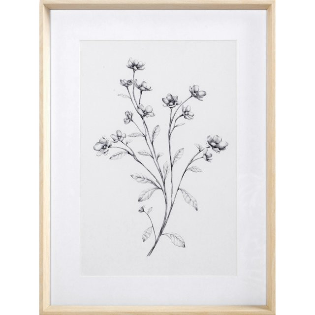 My Texas House Wild Daisy Spray Pencil Drawing Framed Art 24" x 30" | Walmart (US)