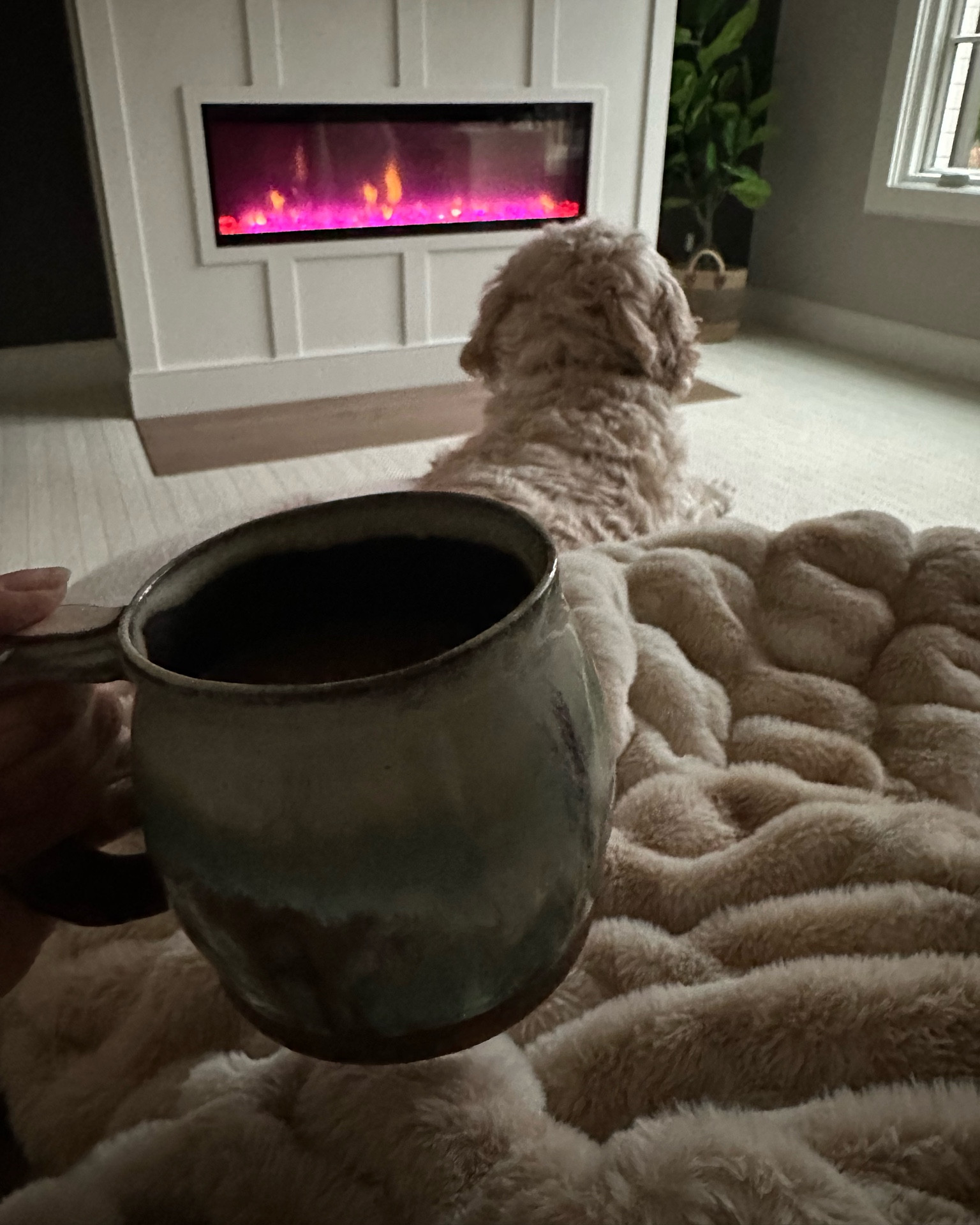 Code: SARAPRESTON35 for 35% off

The SOFTEST blanket ever. I like medium for sitting in a chair!!  My kids all fight over this one!

#LTKSeasonal #LTKOver40 #LTKHome