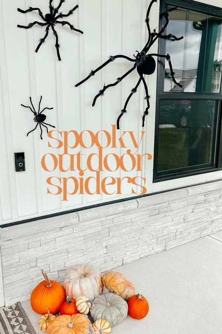 outdoor spiders // how to hang outdoor spiders // outdoor lighting // White House decor 

#LTKSeasonal #LTKHalloween #LTKhome