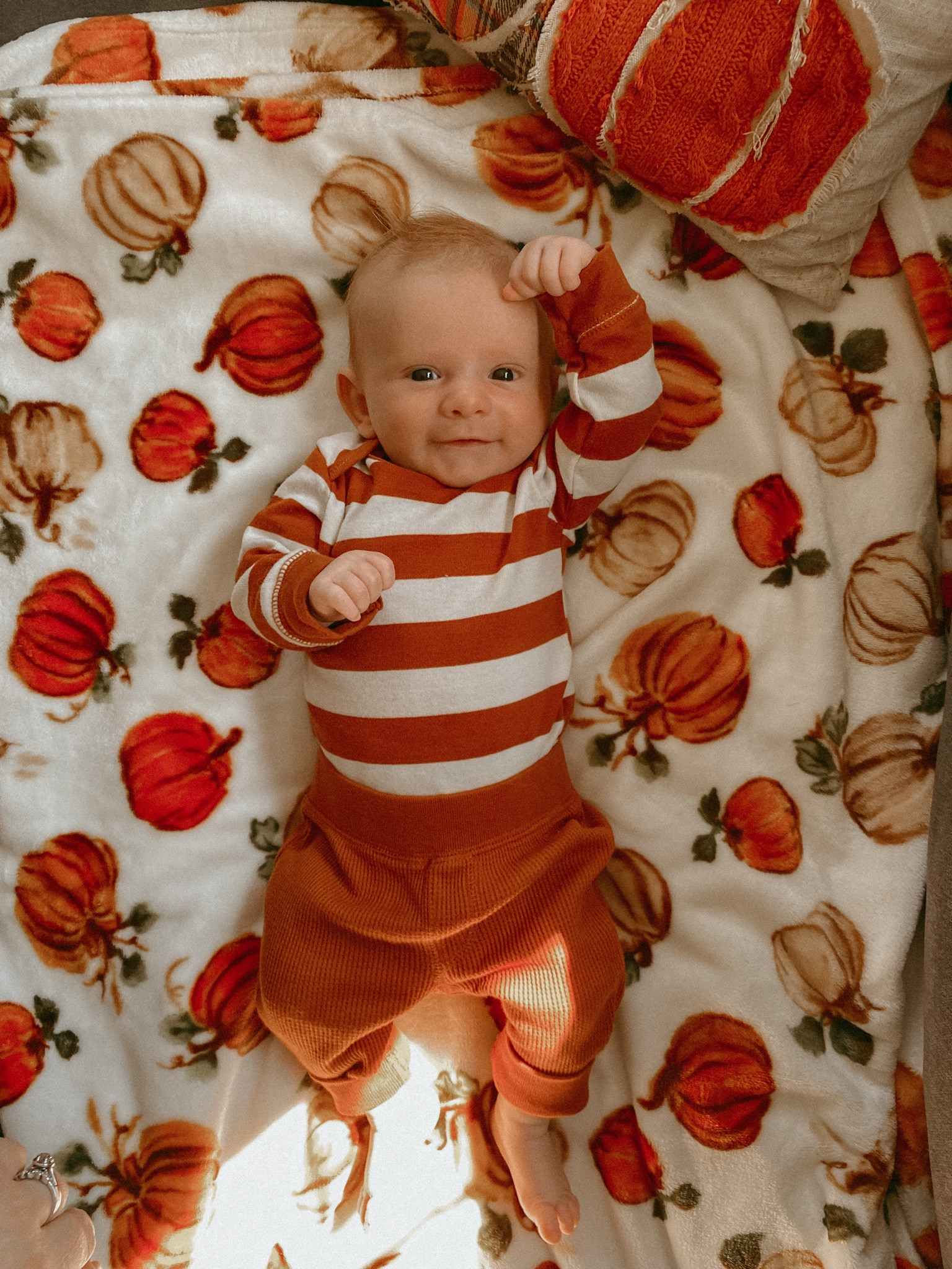 Hello pumpkin 😍

#fallfinds #kidsstyle #toddlerstyle #fallstyle #kohls #walmart #seasonalfinds #sale #ltkfamily #ltkfindsunder50 #boystyle #boyfashion #dailyfit #ootd #ltkkids #ltkmom #babystyle


#LTKbaby #LTKSeasonal #LTKfamily