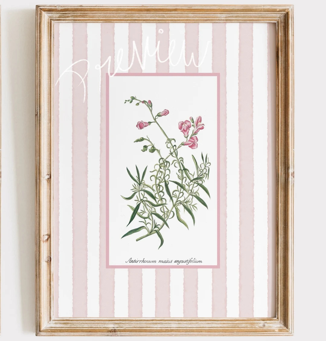 6 Light Pink Striped Floral Art Prints, Baby Pink Grandmillenial Antique Botanical Prints, Nancy ... | Etsy (US)
