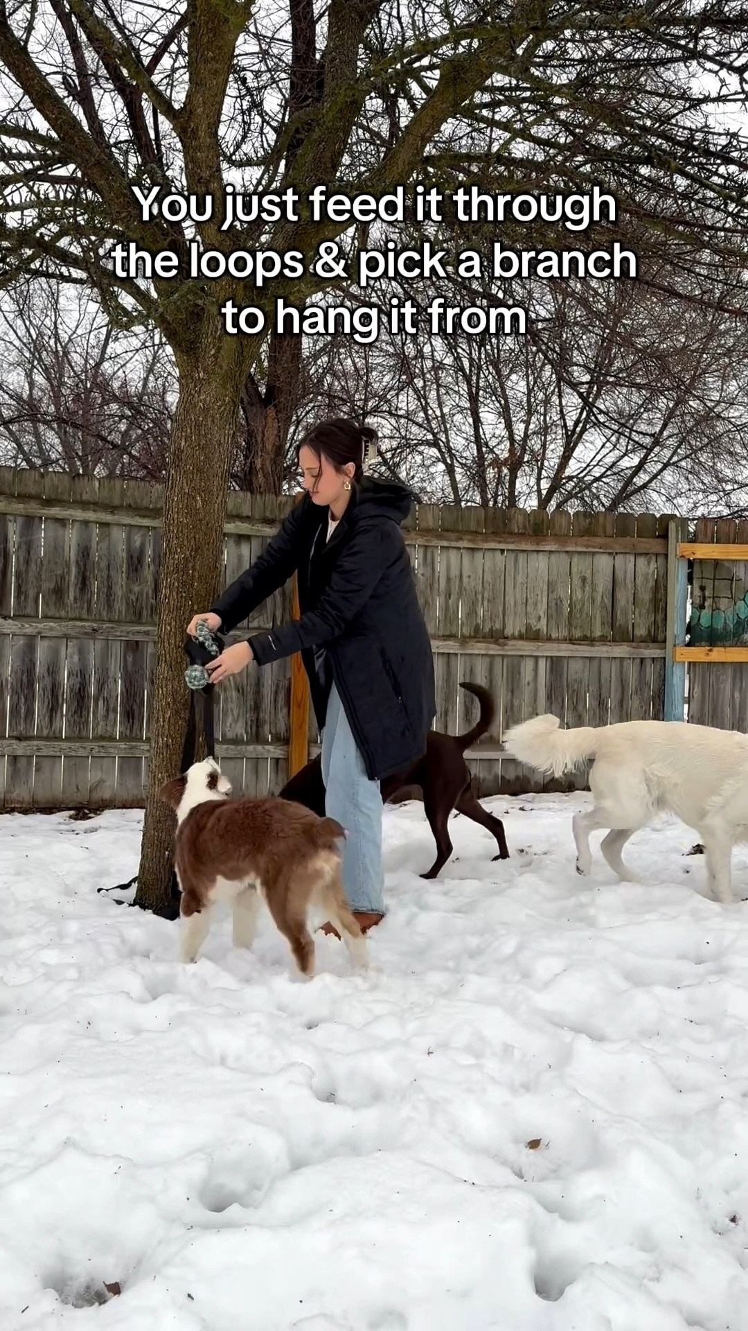 It can also be for solo play too! 🐶🐾

#dogtoys #dogmom #pets

#LTKFindsUnder50 #LTKmomlife