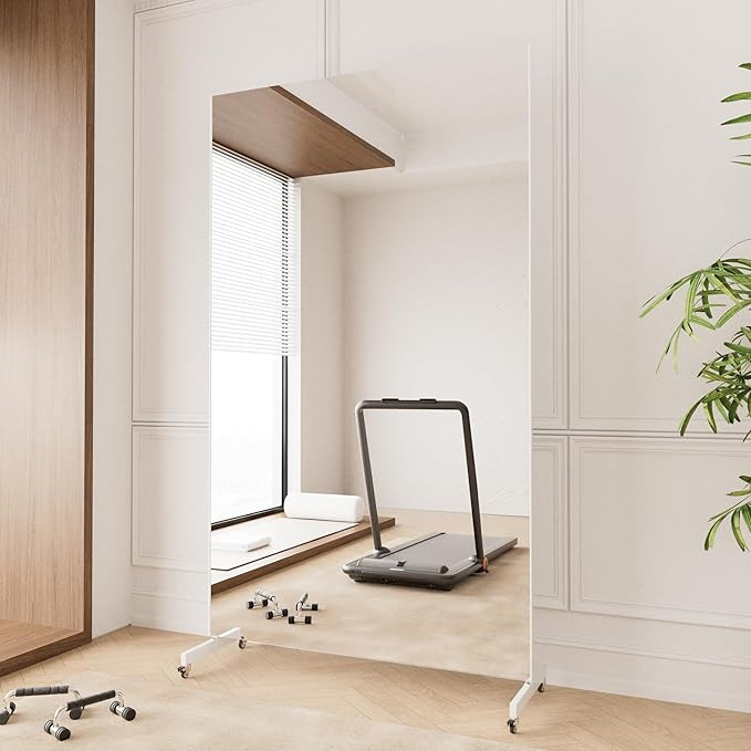 brisafe Home Gym Mirror 360° Swivel on Wheels, 67" X 40" Extra Large Full Body Rolling for Yoga,... | Amazon (US)