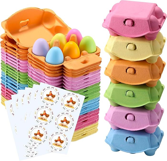 Half Dozen Egg Cartons 24 Pack, Colorful Blank Natural Pulp Egg Holder 6 Count for Chicken Eggs R... | Amazon (US)