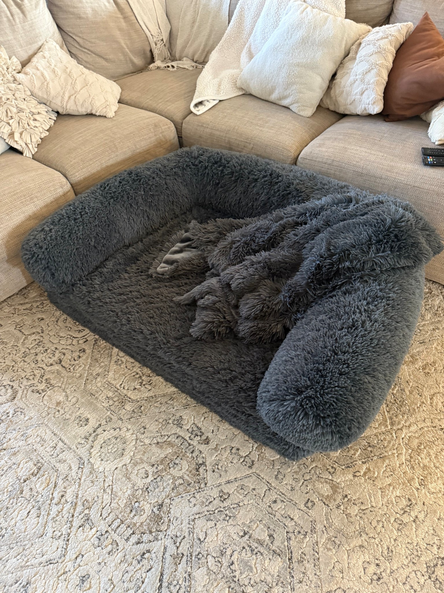 The human size dog bed that folds out to a comfy, cozy mini-bed! Best Christmas gift at our house this year!

#LTKFindsUnder100 #LTKHome #LTKKids