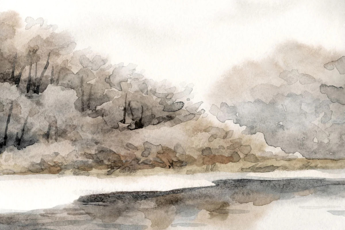 Scenic Coast | Collection Prints