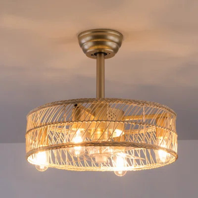 Alynna 18'' Bamboo Woven Caged Reversible Ceiling Fan with Light Fixture | Wayfair North America