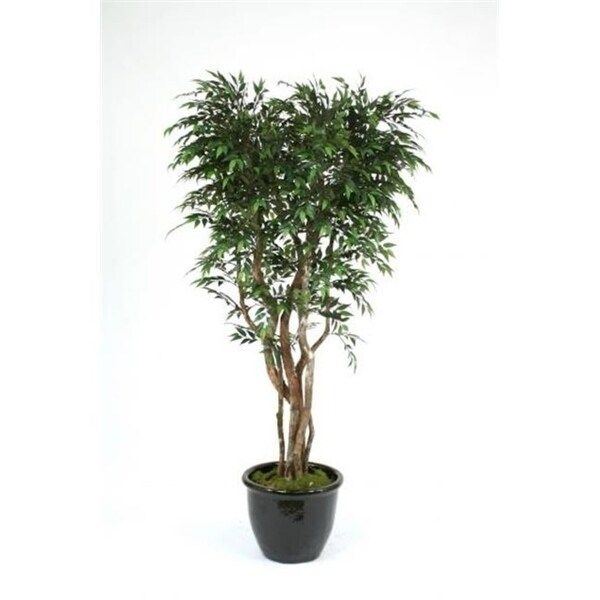 Distinctive Designs T146-7-G1BK 7 ft. Ruscus Tree on Gnarly Trunks in Black Glazed Sto are Pot | Bed Bath & Beyond
