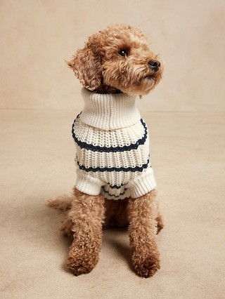 Mariner Stripe Dog Sweater | Banana Republic (US)