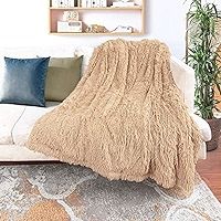 Decorative Extra Soft Faux Fur Blanket Twin Size 70" x 78",Solid Reversible Fuzzy Lightweight Lon... | Amazon (US)