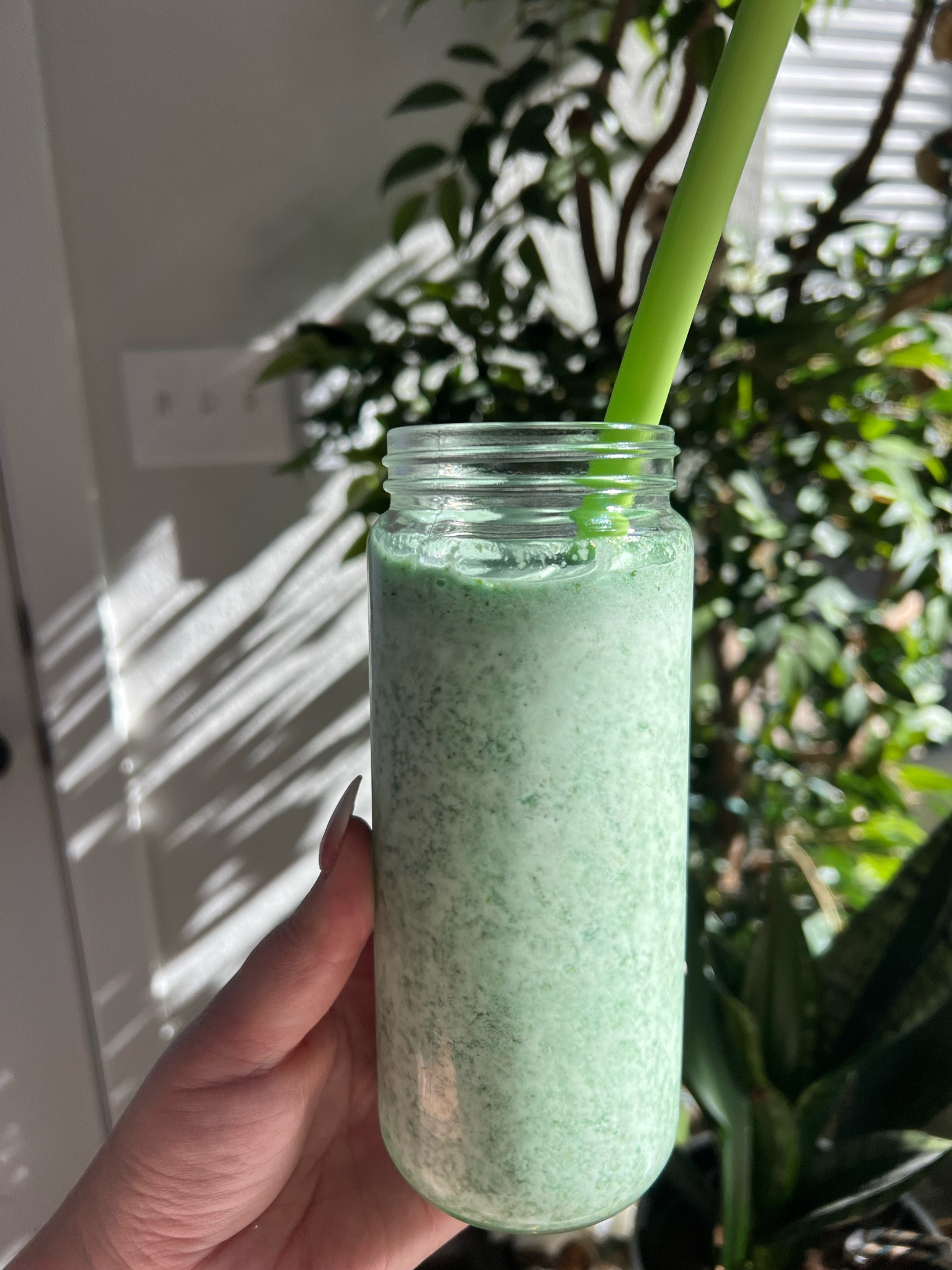 Spirulina Sunday’s 💚

Adding just a scoop of spirulina provides so many health benefits like:
- Improved immune function
- Reduced inflammation
- Lowered cholesterol levels
- Blood sugar control
- Improved digestion
- Mood boost

Other potential benefits: 
Weight loss, Detoxification, Reduced risk of heart disease, and Protection against cancer. 

Please keep in mind, spirulina has many benefits, but it is important to consult with your doctor before taking spirulina as a supplement, especially if you have any underlying health conditions or are taking medication.

#LTKActive #LTKHome #LTKFitness