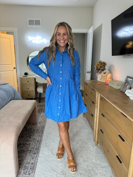 Blue eyelet long sleeve dress paired with espadrille sandals from J Crew Factory 💙

Perfect for family photos, the office or even a lunch date! 

#LTKworkwear #LTKstyletip #LTKfindsunder100