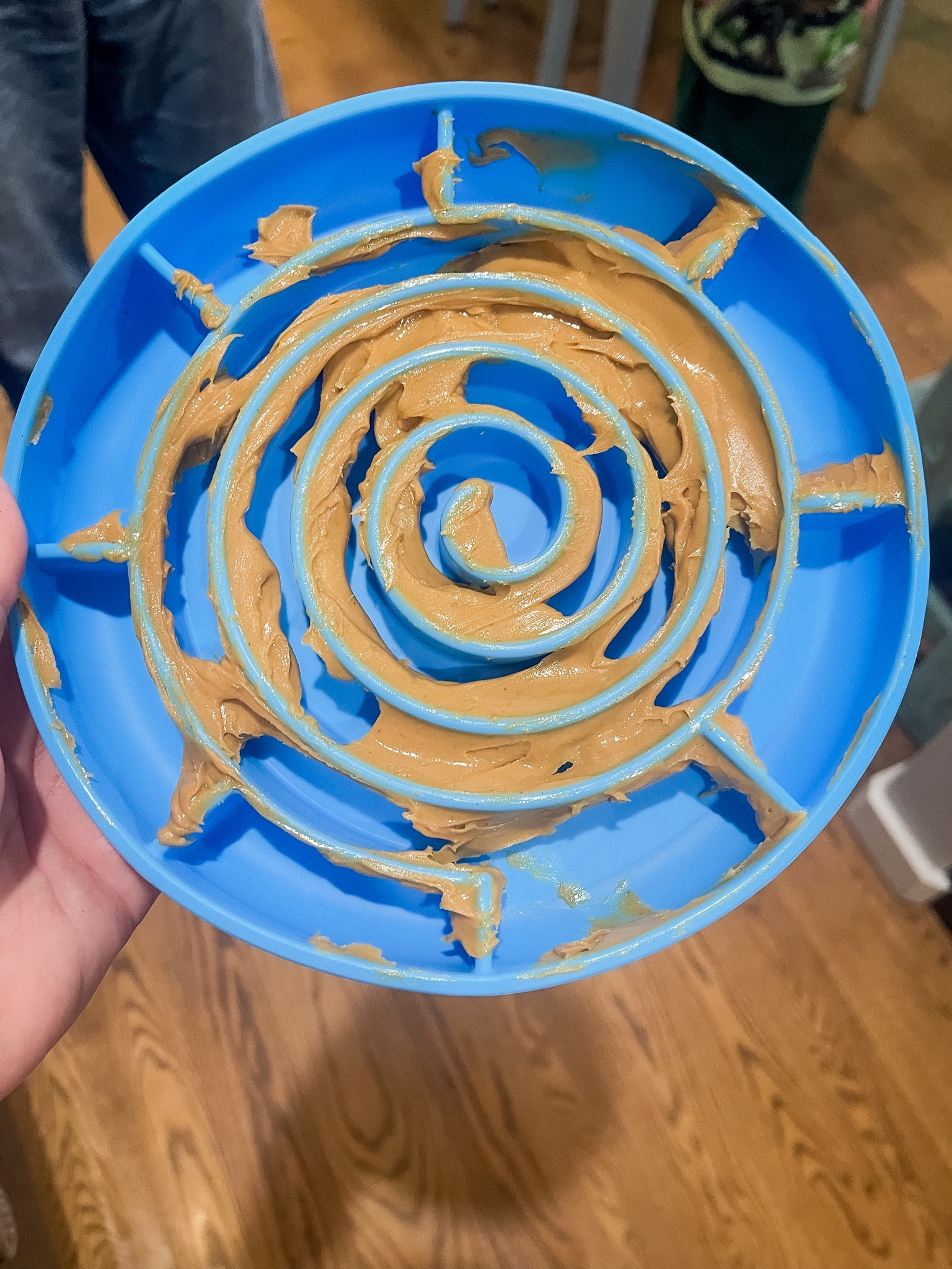 Our dogs are big fans of this slow feed bowl for dinner and for snacks!

** make sure to click FOLLOW ⬆️⬆️⬆️ so you never miss a post ❤️❤️

📱➡️ simplylauradee.com

puppy | puppy gram | dog | pet supplies | dog life | dog toys | dog treats | dog bowl | dog bed | australian shepherd

#LTKkids #LTKfamily #LTKhome