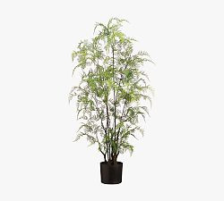 Faux Potted Fern Tree | Pottery Barn (US)