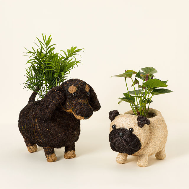 Coconut Fiber Dog Planter | UncommonGoods