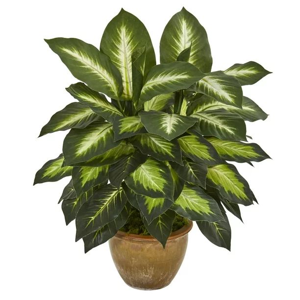Nearly Natural 18in. Dieffenbachia Artificial Plant in Ceramic Planter, Green - Walmart.com | Walmart (US)