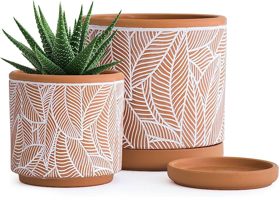 Set of 2 Terracotta Pots, Leaves Pattern Planter Pot, 4 Inch and 6 Inch, Pot with Drainage Hole a... | Amazon (US)
