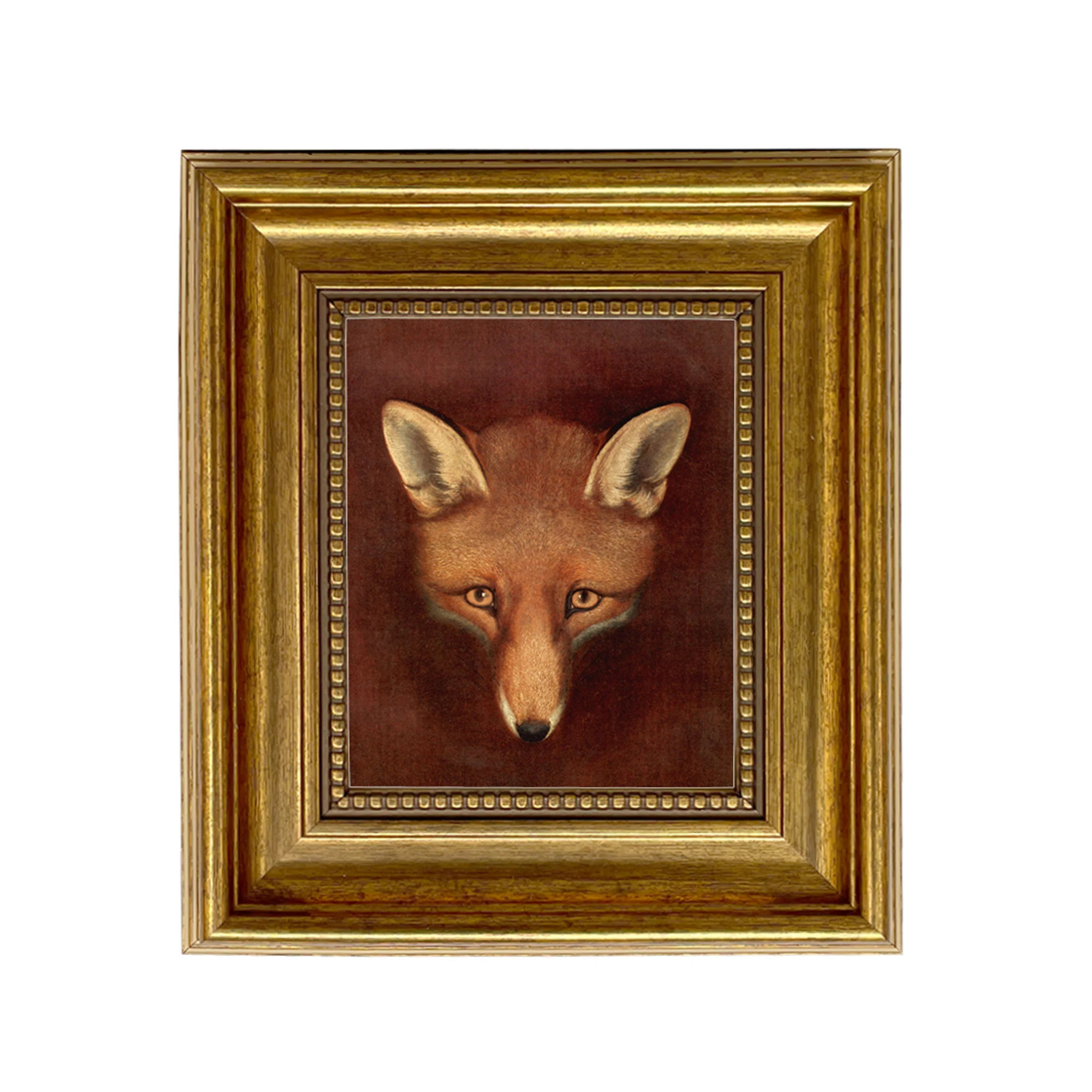 Framed Fox Head Canvas Print, Reinagle c1800, Moody Wall Art | Etsy (Global)