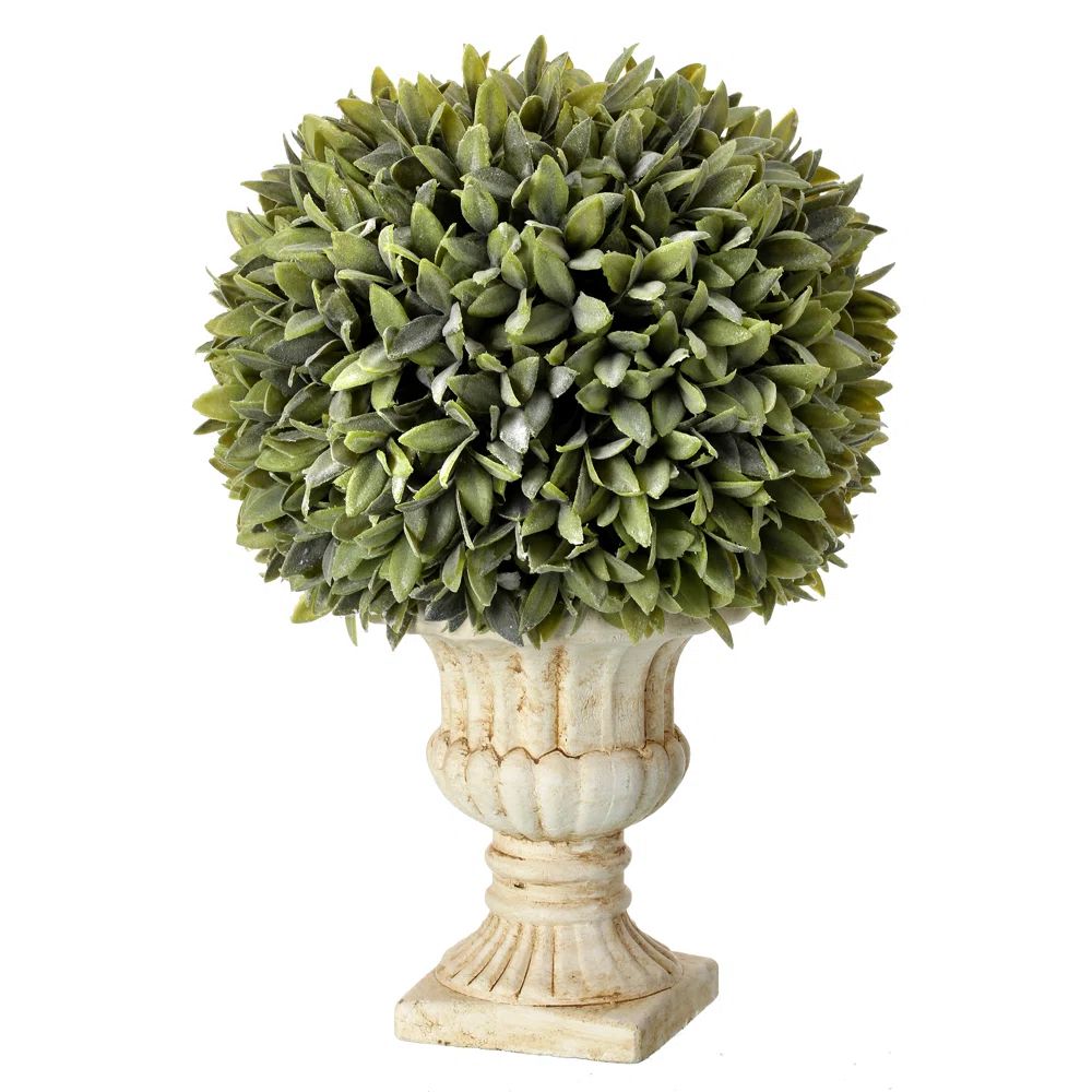 Faux Topiary in Ceramic Urn | Wayfair North America