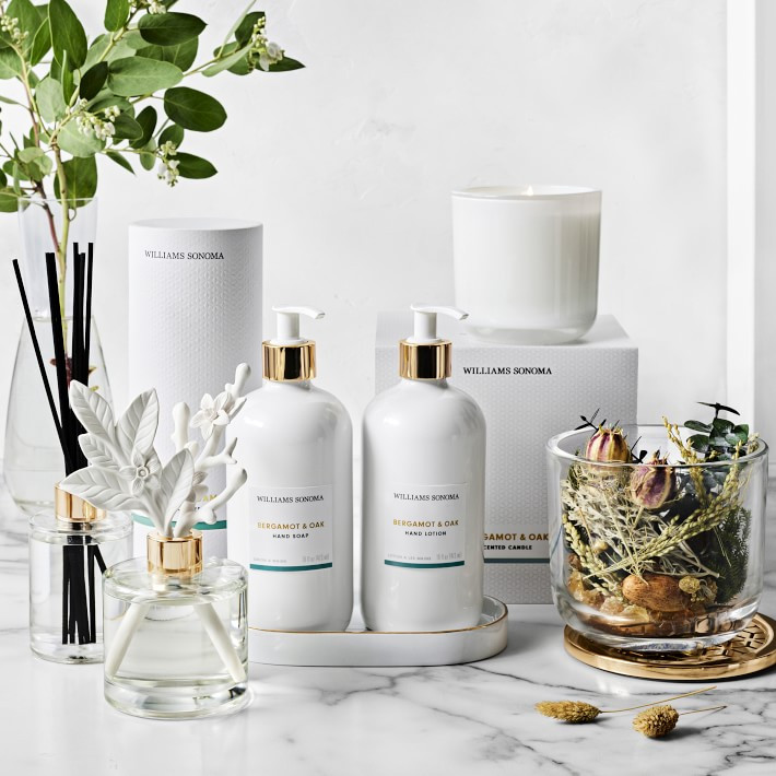 Home Fragrance Bergamot and Oak Reed Diffuser | Williams-Sonoma