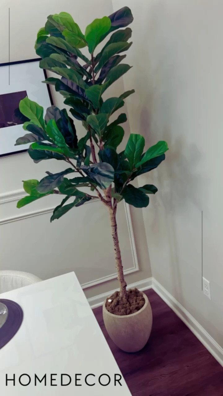Cómo estilizar una planta en tu decoración 
#amazon #homegoods

#LTKVideo #LTKhome #LTKsalealert