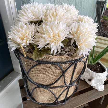 Get your front porch ready for Fall with this faux mum planter DIY project!

#LTKSeasonal