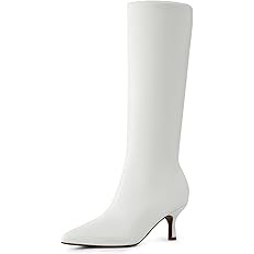 DREAM PAIRS Women's Knee High Kitten Heel Boots Sexy Pointed Toe Fashion Long Tall Boots | Amazon (US)