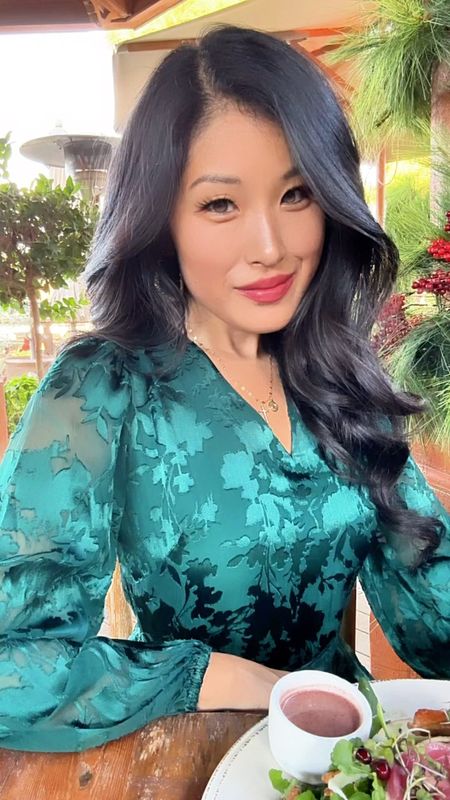 Petite Long Sleeve Burnout V-Neck Godet Dress! 

I love wearing this emerald greenish v-neck dress. There flirty detail at the hem and the removal tie belt add extra style elements!

Perfect for a holiday party, date night or a brunch with friends! 

White House Black Market, Green Dress, 

#LTKHoliday