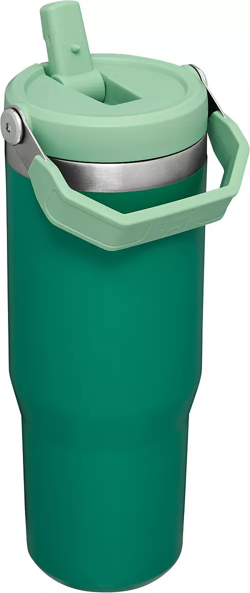 Stanley 30 Oz. IceFlow Tumbler with Flip Straw | Dick's Sporting Goods