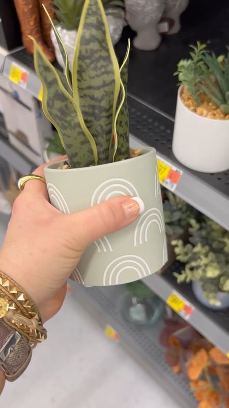 I kill real plants, so faux plants is where it’s at for me!  Walmart has the best ones and they’re all so affordable!  Also, how cute is this mini globe? 

#LTKfindsunder100 #LTKhome #LTKfindsunder50