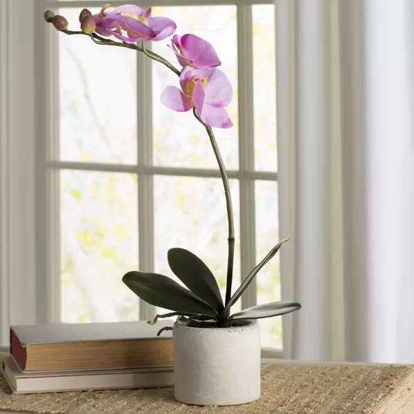 Artificial Orchid Floral Arrangement in Pot | Wayfair North America