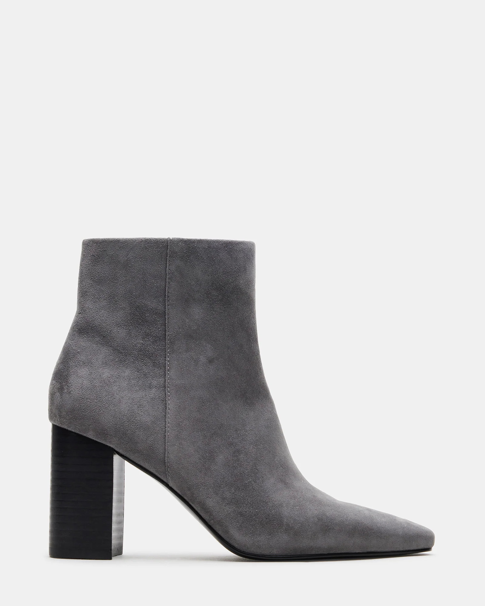 Aidan Grey Suede | Steve Madden (US)