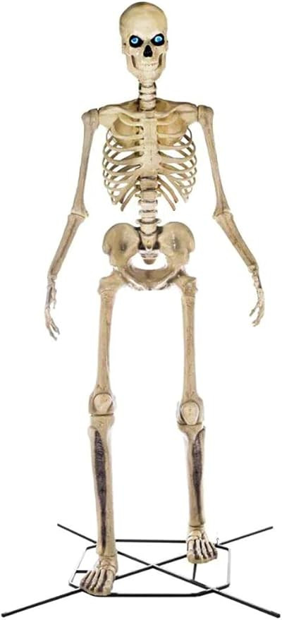 Home Accents 12 ft. Giant-Sized Skeleton with LifeEyes | Amazon (US)