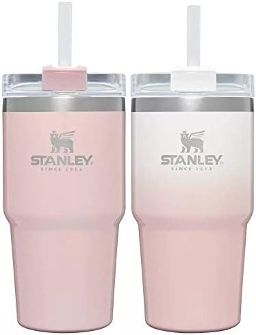 Stanley Adventure 20oz Stainless Steel 2pk Quencher Tumblers | Limited Edition (Parfait Ombre/Par... | Amazon (US)