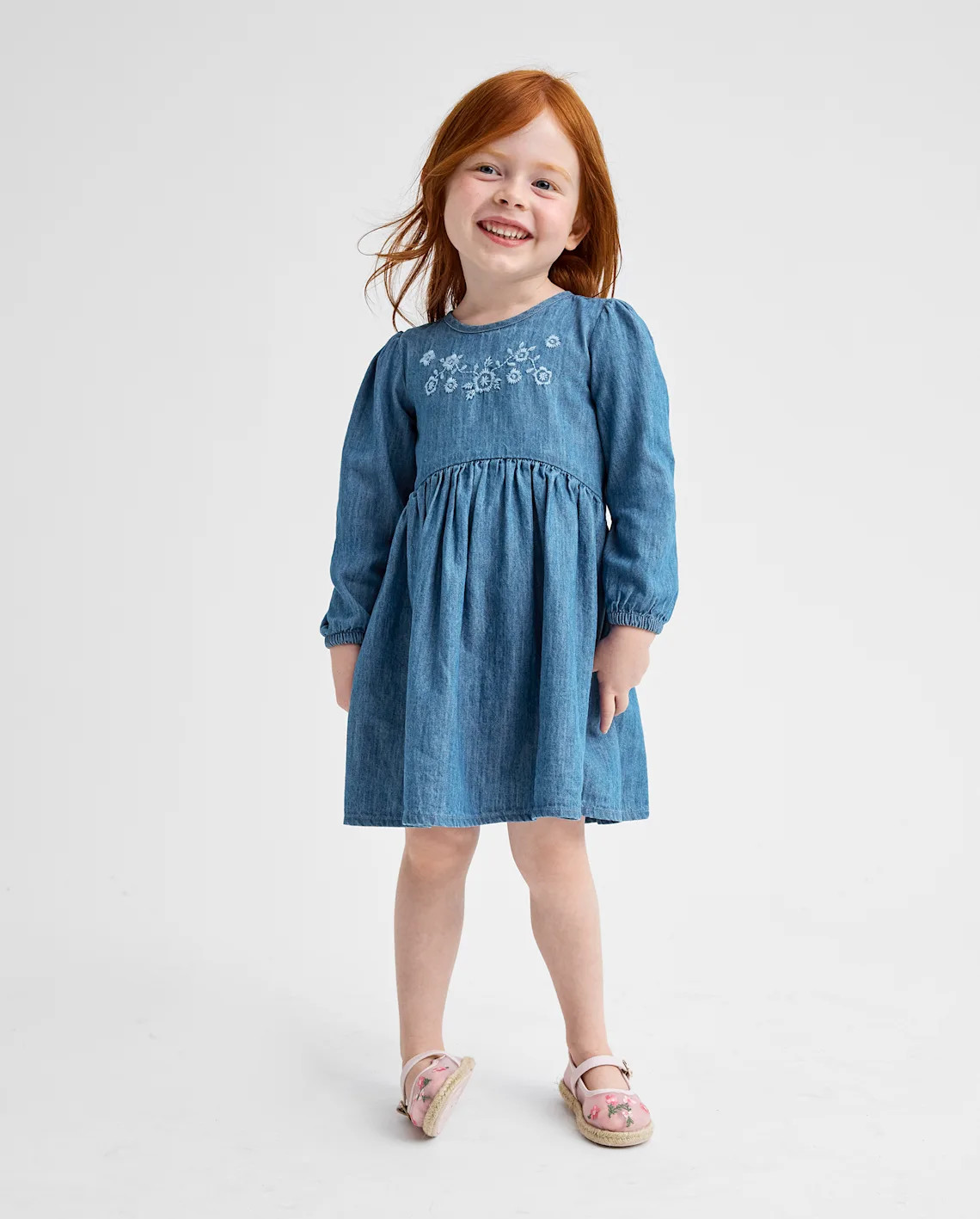 Baby And Toddler Girls Embroidered Floral Chambray Fit And Flare Dress - blue | The Children's Place