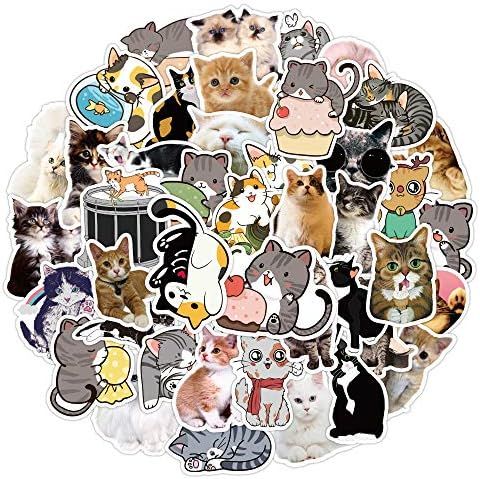 Cat Stickers 50 Packs, Homabachyco Waterproof Vinyl Stickers for Snowboard Bicycle Phone Computer... | Amazon (US)