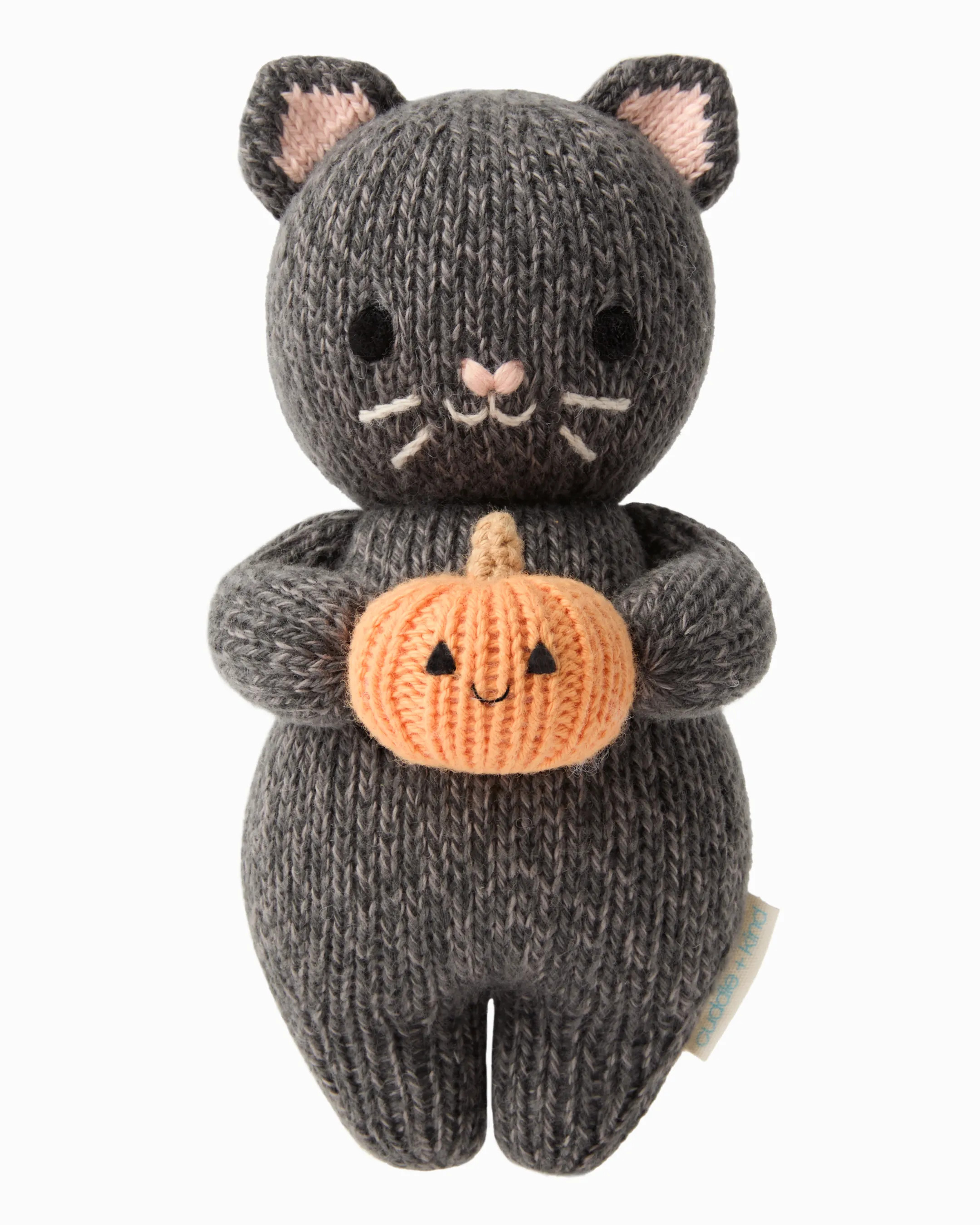 Baby kitten (with pumpkin) | cuddle+kind