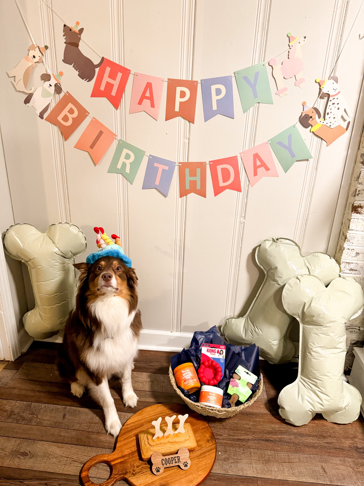 Cooper’s party decor was from SHEIN! It was perfect!🎉🪅🪩🐾

#LTKfindsunder50 #LTKfamily #LTKparties