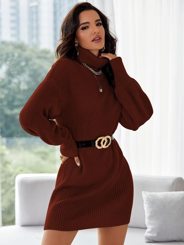 Turtle Neck Ribbed Knit Sweater Dress Without Belt | SHEIN