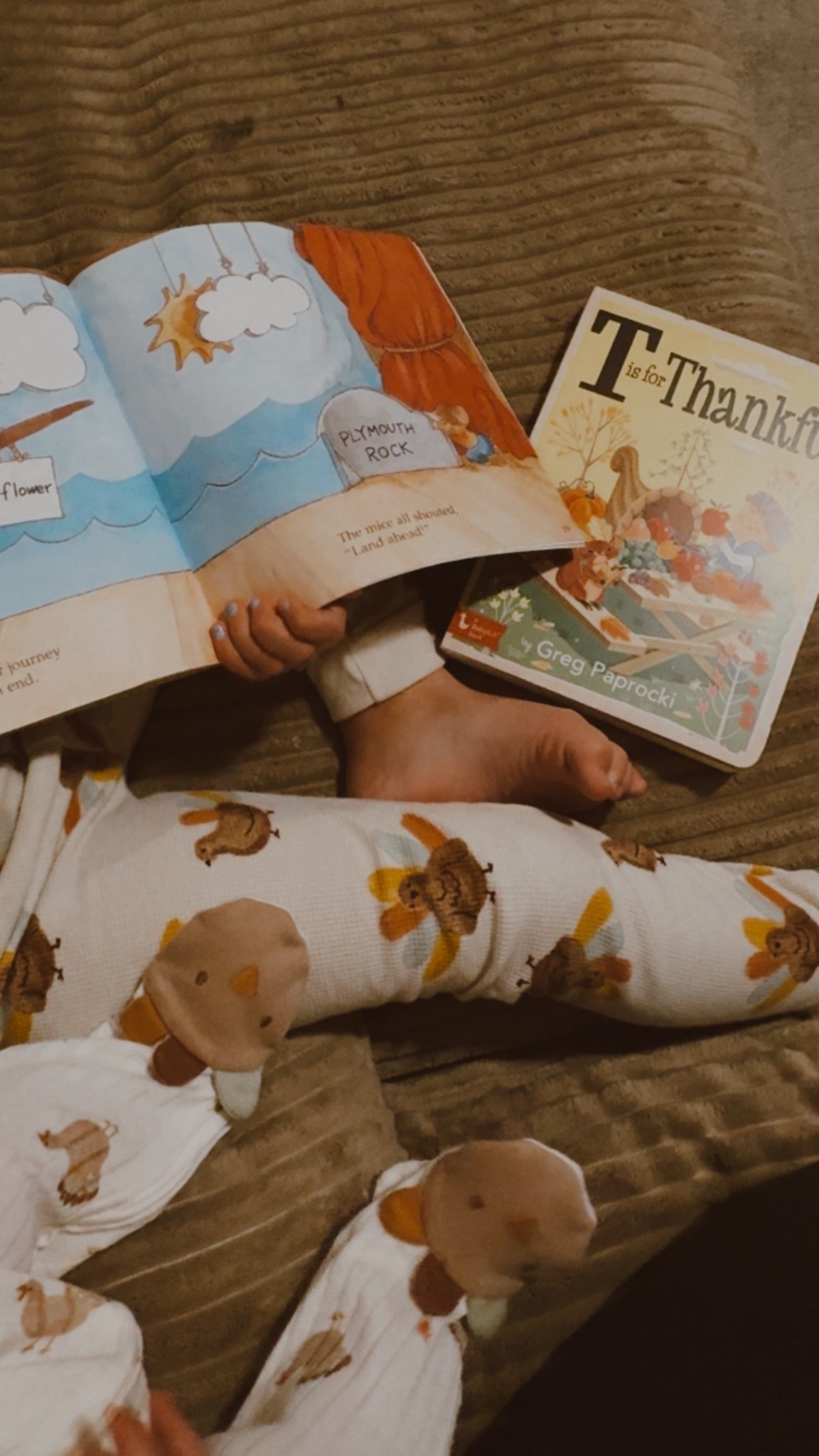 Thanksgiving pajamas | toddler pajamas | baby pajamas | Thanksgiving clothes | Thanksgiving books | November | turkey 

#LTKBaby #LTKKids #LTKFamily