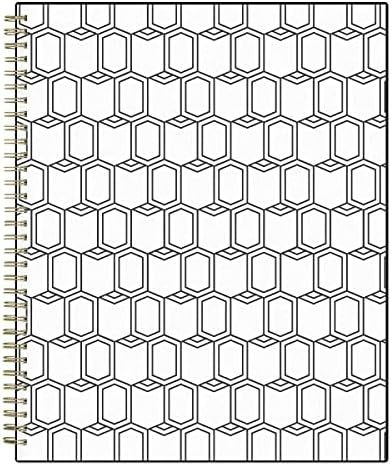 Blue Sky 2022 Weekly & Monthly Appointment Book & Planner, 8.5" x 11", Flexible Cover, Wirebound,... | Amazon (US)