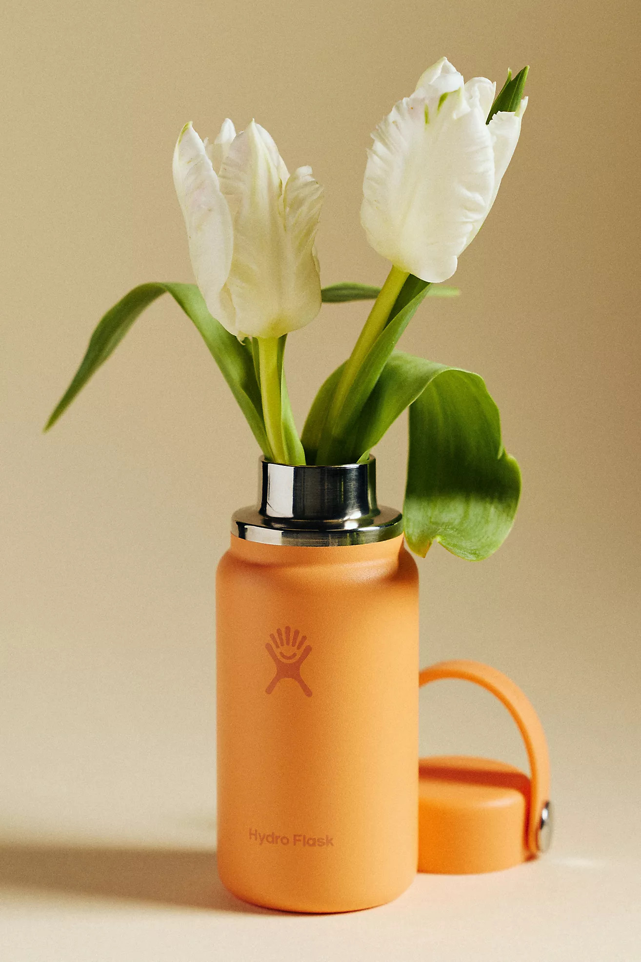 Hydro Flask Micro Hydro 200 ML Water Bottle | Anthropologie (US)
