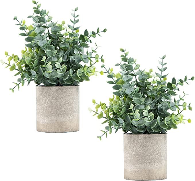 2 Pack Small Fake Plants Eucalyptus Potted Artificial Plants for Shelf Desk Home Bathroom Farmhou... | Amazon (US)