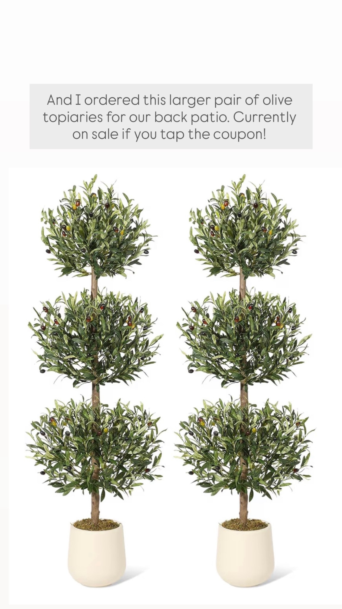 And I ordered this larger pair of olive topiaries from Amazon for our back patio. Currently on sale if you tap the coupon! 

#LTKHome #LTKSaleAlert #LTKSeasonal