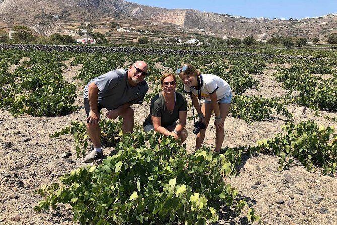 Santorini Wine Adventure with 12 Wine Tastings, Tapas and Sunset | Viator – A TripAdvisor Company (US)