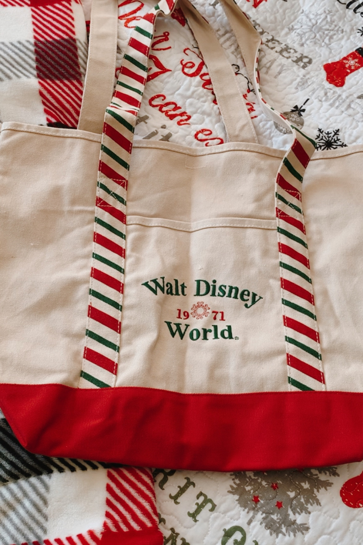 the perfect Disney world Holiday tote bag🎄❤️🫶🏻✨

#LTKstyletip #LTKHoliday #LTKGiftGuide