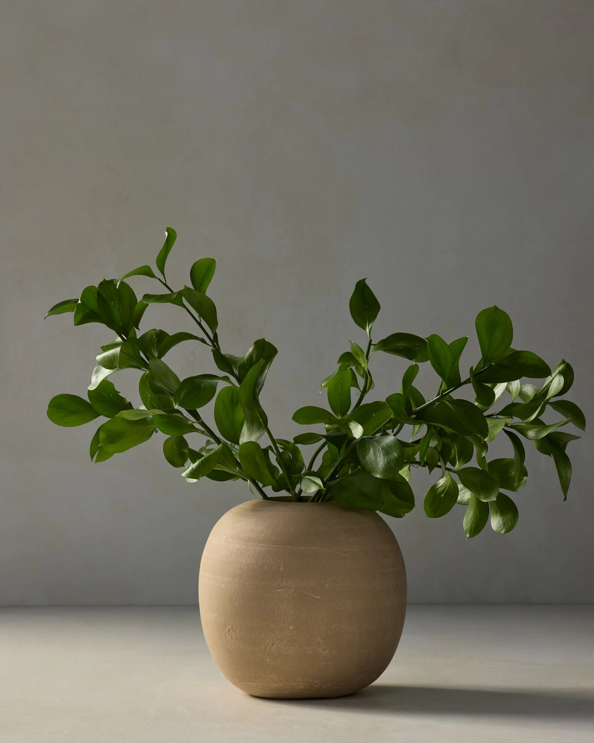 Flores Clay Vase | Joon Loloi | Joon Loloi