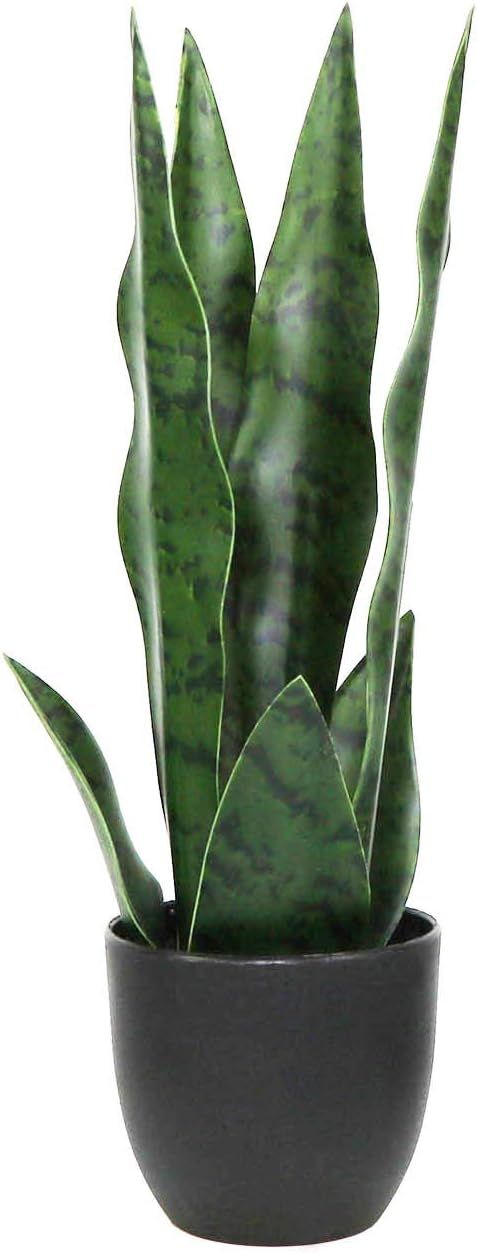 Artificial Plants Sansevieria Snake Plant with Black Plastic Planter Greenery Perfect Faux Agave ... | Amazon (US)