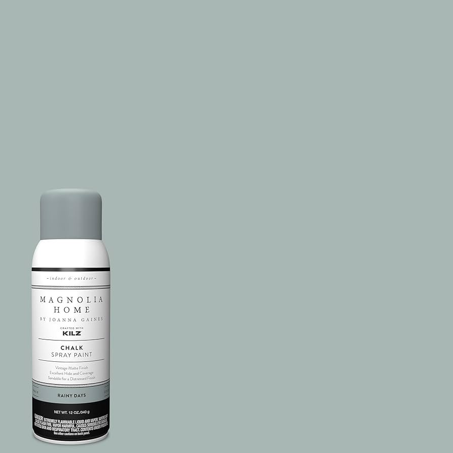 Magnolia Home by Joanna Gaines Enamel Interior/Exterior Spray Paint for Small Projects, Matte, BL... | Amazon (US)